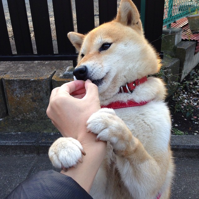 国足门将站位类型与扑救成功率比照，国足守门